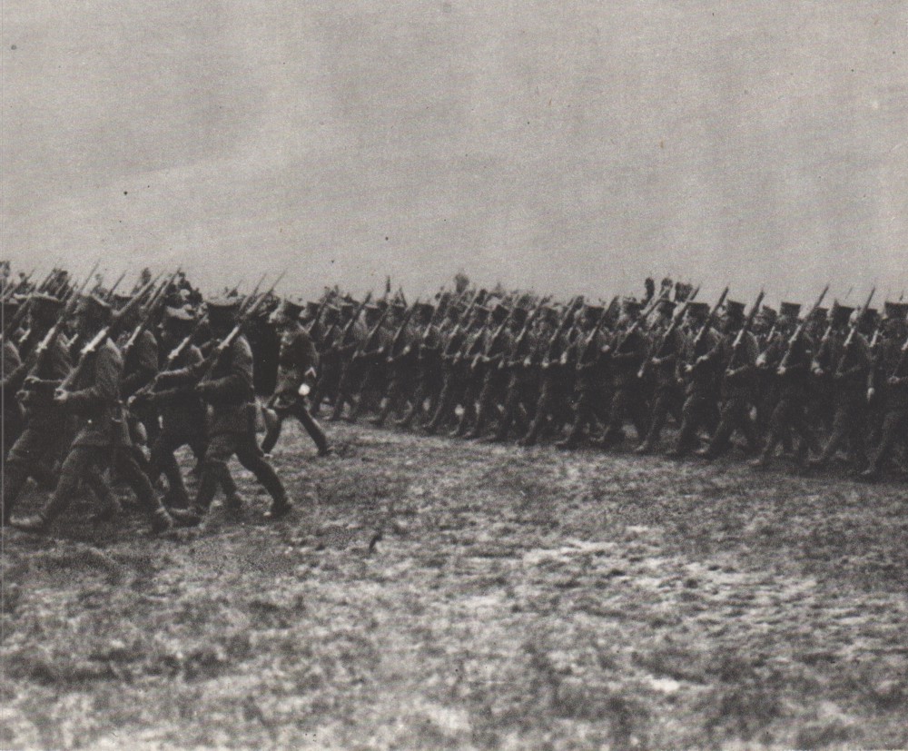 Polish Volunteers--